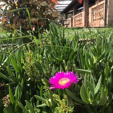 La Fattoria Di Farm stay *